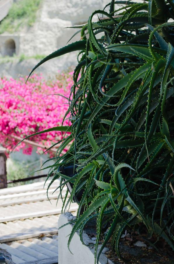 Hotel Angelino Barano dʼIschia Exterior foto